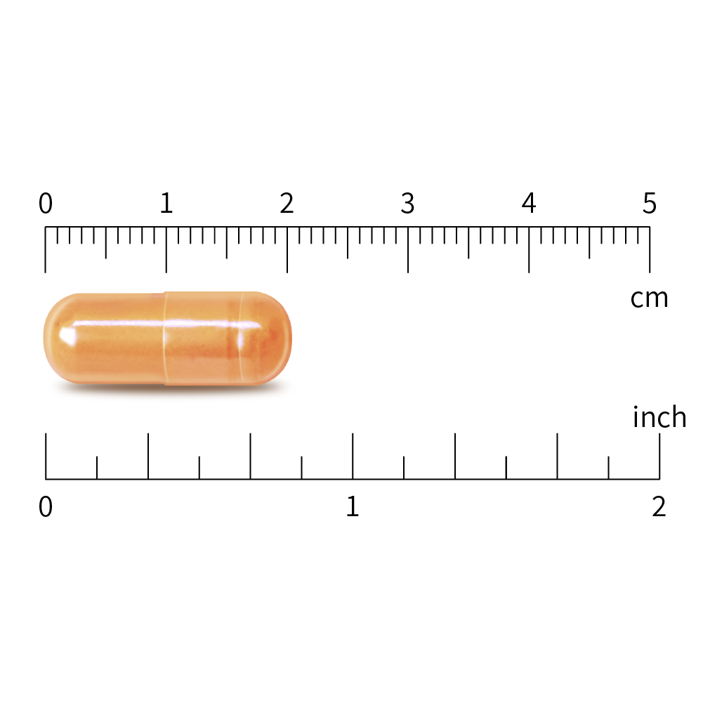 Boswellia 10:1 Extract 333mg & Curcumin 100mg, 120 Vegan Capsules