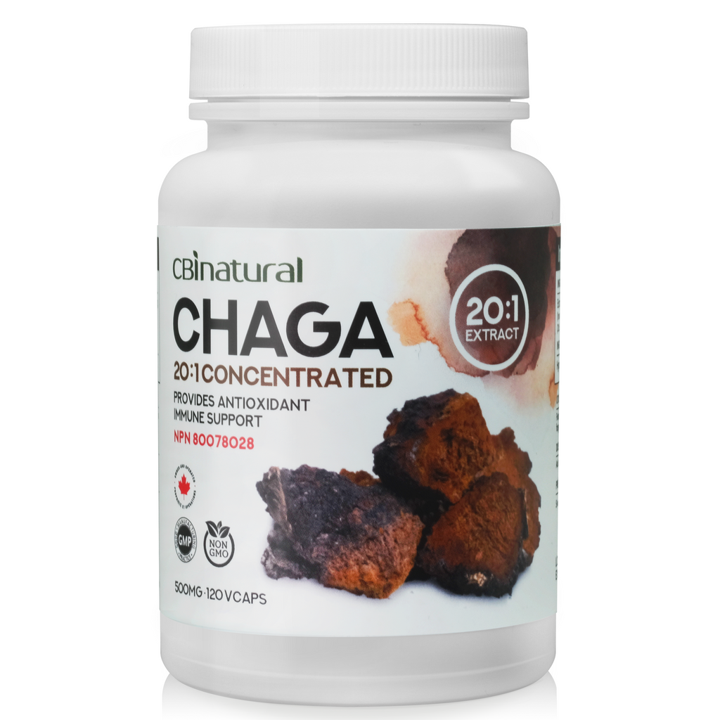 20:1 Concentrated Chaga 120 caps